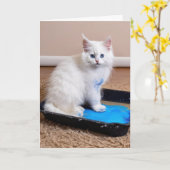 Carte Chaton blanc en bac à peinture pour l'anniversaire (Fleur jaune)