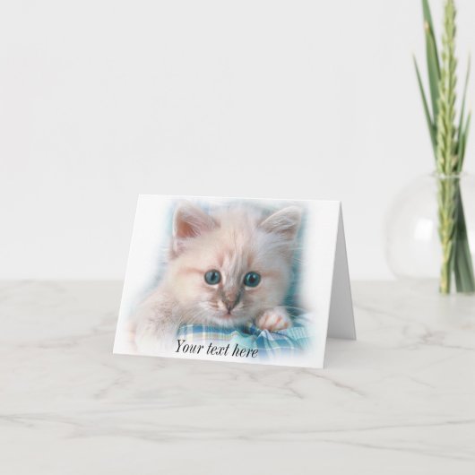 Carte chaton blanc mignon avec les yeux bleus (Devant)