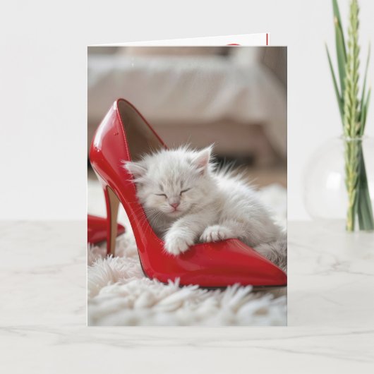 Carte Chaton d'anniversaire dormant dans une chaussure r (Devant)