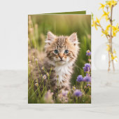 Carte Chaton D'Anniversaire En Fleur sauvage (Fleur jaune)