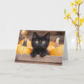Carte Chaton dans un champ de citrouilles (Fleur jaune)