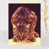CARTE CHATON DE CHAT SAUVAGE (Fleur jaune)