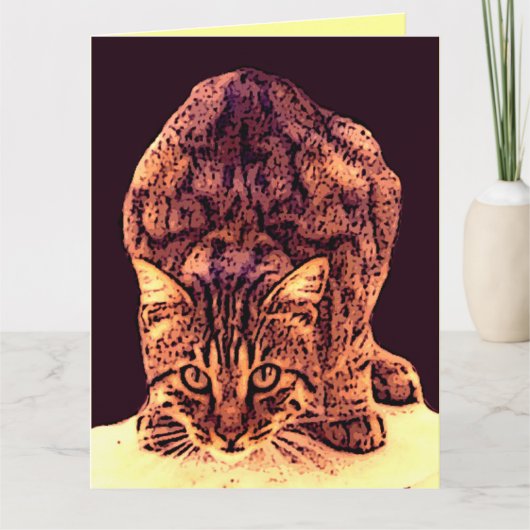 CARTE CHATON DE CHAT SAUVAGE (Devant)