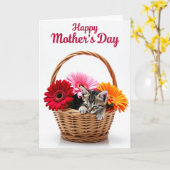 Carte Chaton Floral Douce (Fleur jaune)