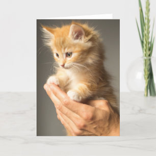 Carte Chaton mignon sur des mains