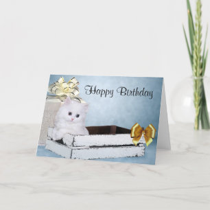 Carte Chaton perse blanc