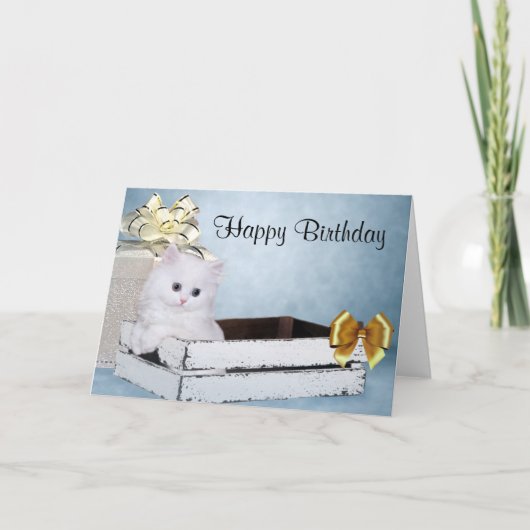 Carte Chaton perse blanc (Devant)