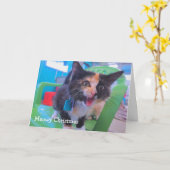 Carte Chaton pleurant (Fleur jaune)