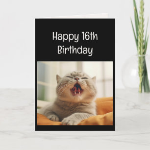 Carte Chaton qui miaule amusant 16e anniversaire humour