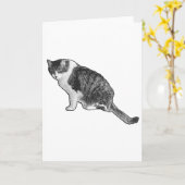 Carte Chaton Similigravure Partageant un Sentiment (Fleur jaune)
