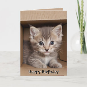 Carte Chaton tabby d'anniversaire dans une boîte en cart