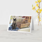 Carte Chaton tortoiseshell (Fleur jaune)