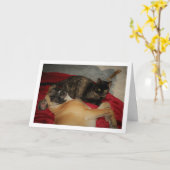 Carte Chaton Tortoiseshell doux avec chiot (Fleur jaune)