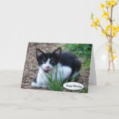 Carte Chaton Tuxedo avec la langue qui sort (Fleur jaune)