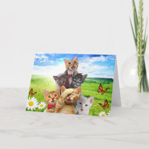 Carte Chatons amusants dans le champ vert.