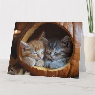 Carte Chatons Coquets Blottis dans une Citrouille