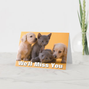 Carte Chatons et chiots bleus russes de teckel