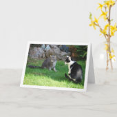 Carte Chatons sur l'herbe (Fleur jaune)