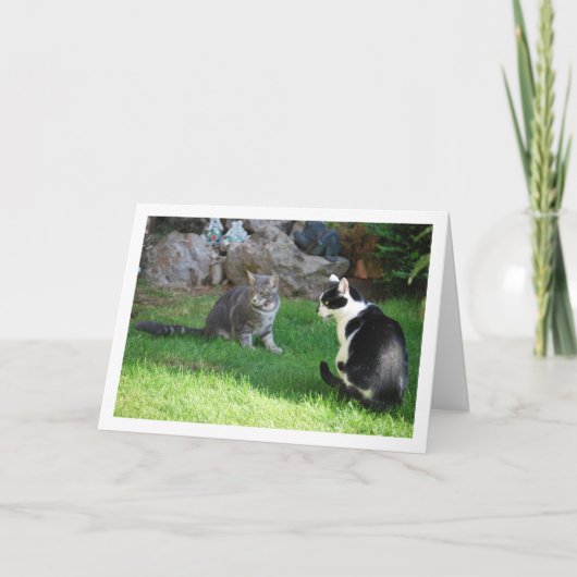 Carte Chatons sur l'herbe (Devant)