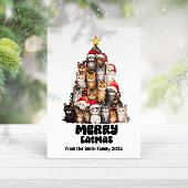 Carte Chats Amusants Avec Chapeaux De Père Noël Festif A