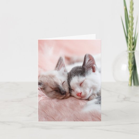 Carte Chats bouillonnants - Anniversaire (Devant)