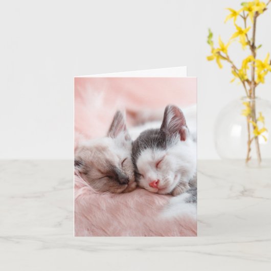 Carte Chats bouillonnants - Anniversaire (Fleur jaune)