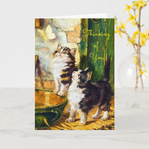 Carte Chats Curieux Vintage Papillon Pensée Pour Vous
