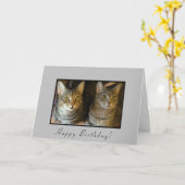 Carte Chats d'anniversaire branchés (Fleur jaune)