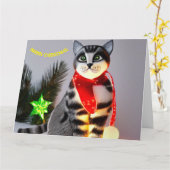 Carte Chats de Noël (Fleur jaune)