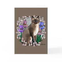 Chats de saison - Jardin de printemps