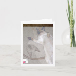 Carte Chats de vol