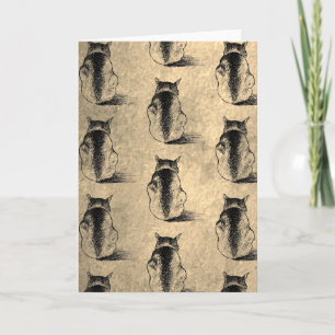 Carte Chats Dessin Encre Illustration Art