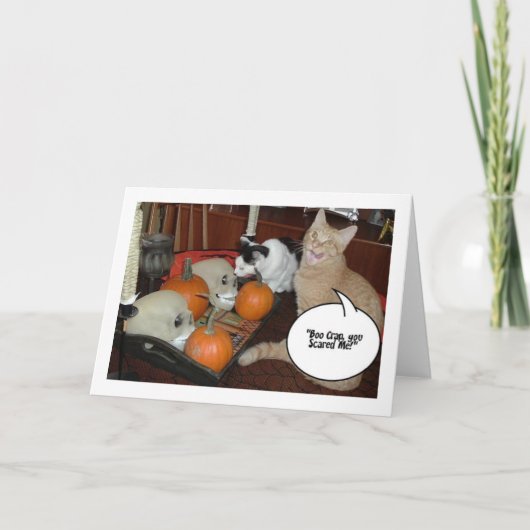 Carte Chats d'Halloween effrayants (Devant)