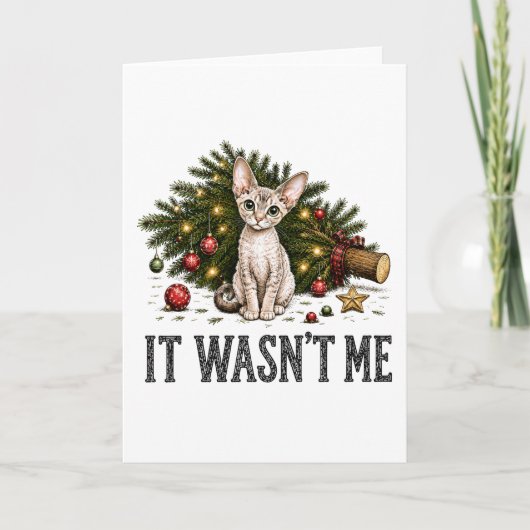 Carte Chats drôles de Devon Rex Noël C'était pas moi (Devant)