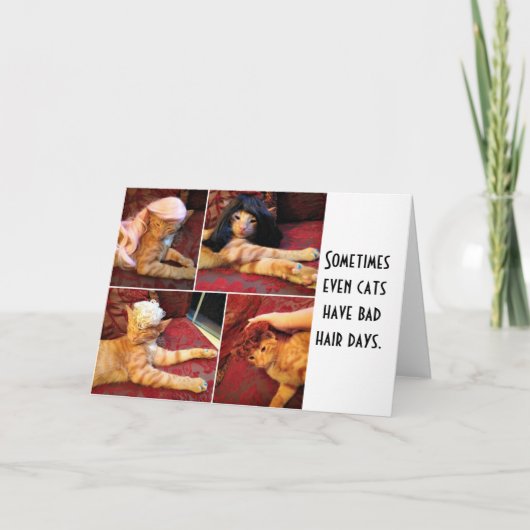 Carte Chats en perruques (blanc à l'intérieur) (Devant)