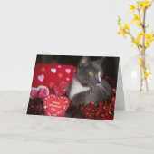 Carte "Chats et baisers" (Fleur jaune)