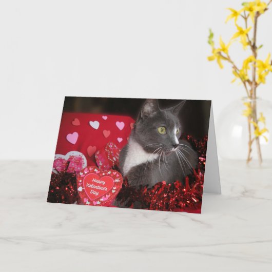 Carte "Chats et baisers" (Fleur jaune)