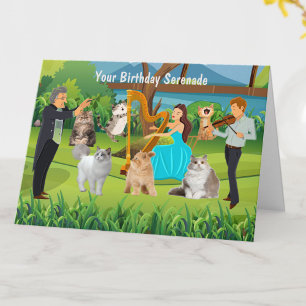 Carte Chats et musiciens : joyeuse sérénade d'anniversai