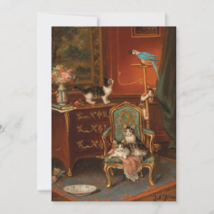 Carte Chats jouant avec un perroquet   Jules Le Roy