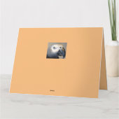 Carte Chats mignons Animaux joyeux Parrot Se Bien Bientô (Dos)