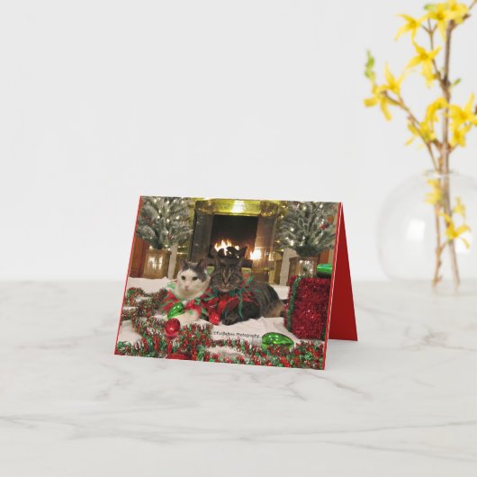 Carte Chats mignons célébrant Noël (Fleur jaune)