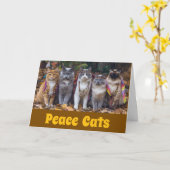 Carte Chats Peace (Fleur jaune)