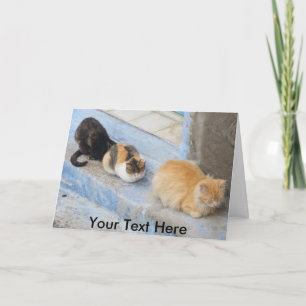 Carte Chats personnalisables, Chefchaouen, Maroc