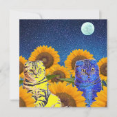 Carte Chats pour l'Ukraine (Devant)