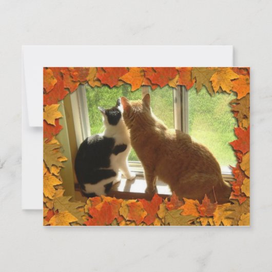 Carte Chats Tabby Orange d'automne (Devant)
