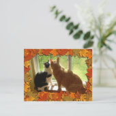 Carte Chats Tabby Orange d'automne (Debout devant)