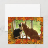 Carte Chats Tabby Orange d'automne (Devant / Derrière)