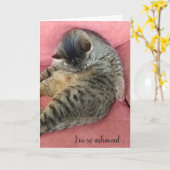 Carte chatte à tabby d'anniversaire tardif sur chaise co (Fleur jaune)