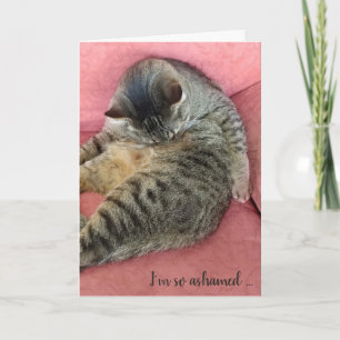 Carte chatte à tabby d'anniversaire tardif sur chaise co