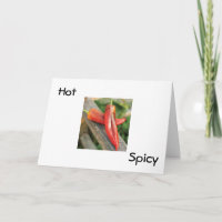 CHAUD ET ÉPIQUÉ CINCO DE MAYO SOUHAITE